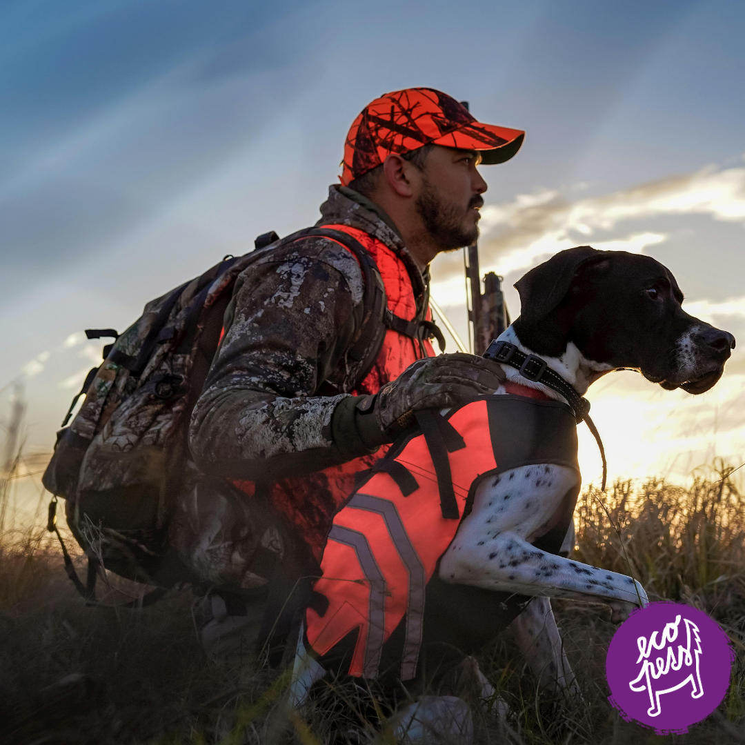 Lososový olej pro psy lovecky pes